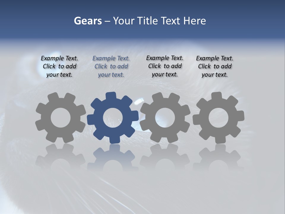 Staring Beautiful Pet PowerPoint Template