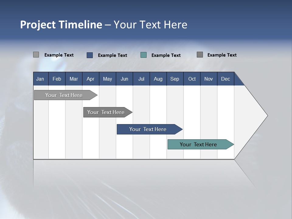 Staring Beautiful Pet PowerPoint Template
