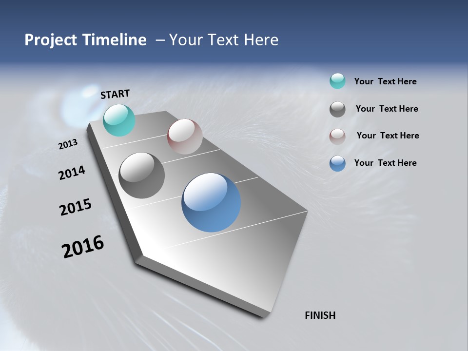 Staring Beautiful Pet PowerPoint Template
