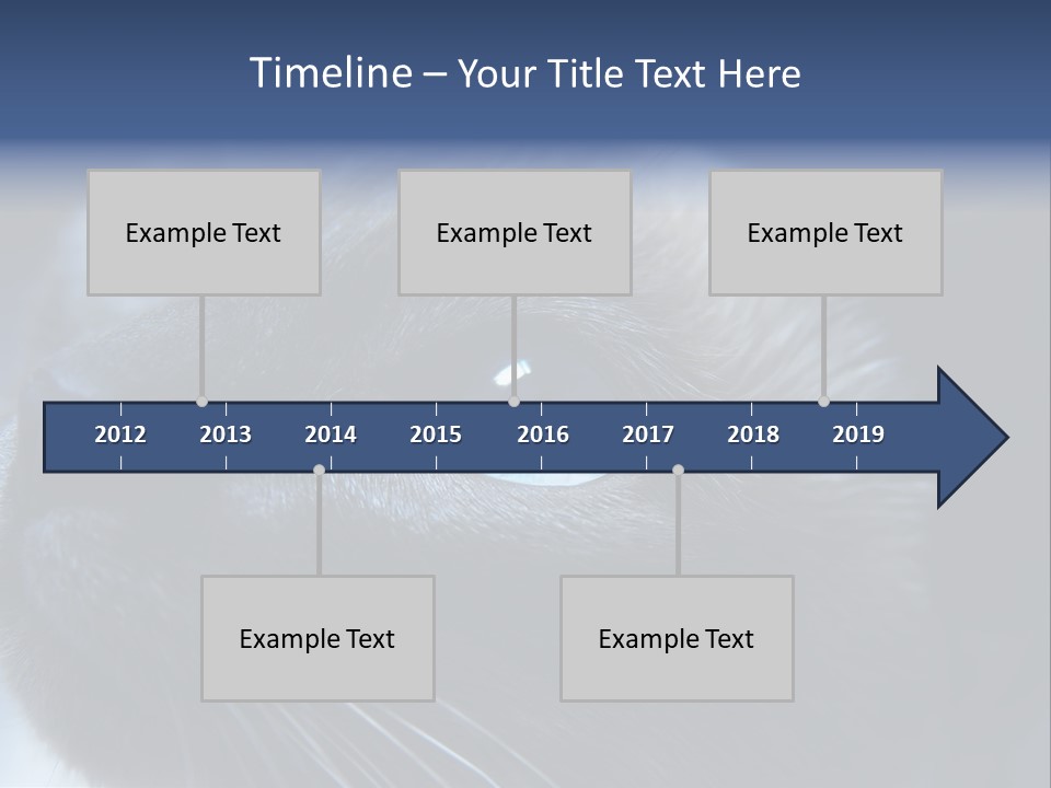 Staring Beautiful Pet PowerPoint Template