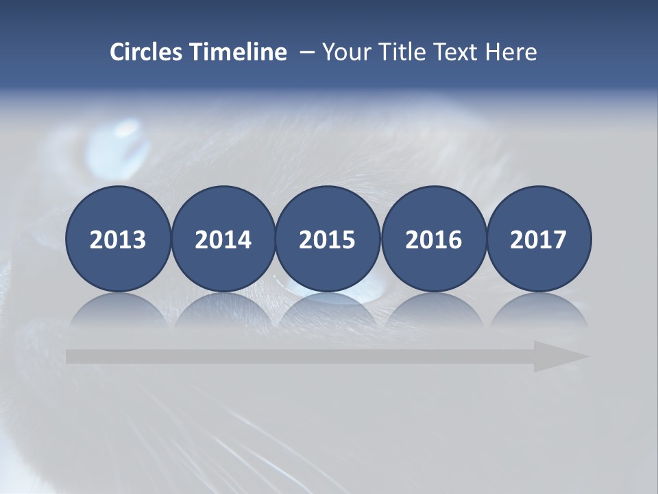 Staring Beautiful Pet PowerPoint Template