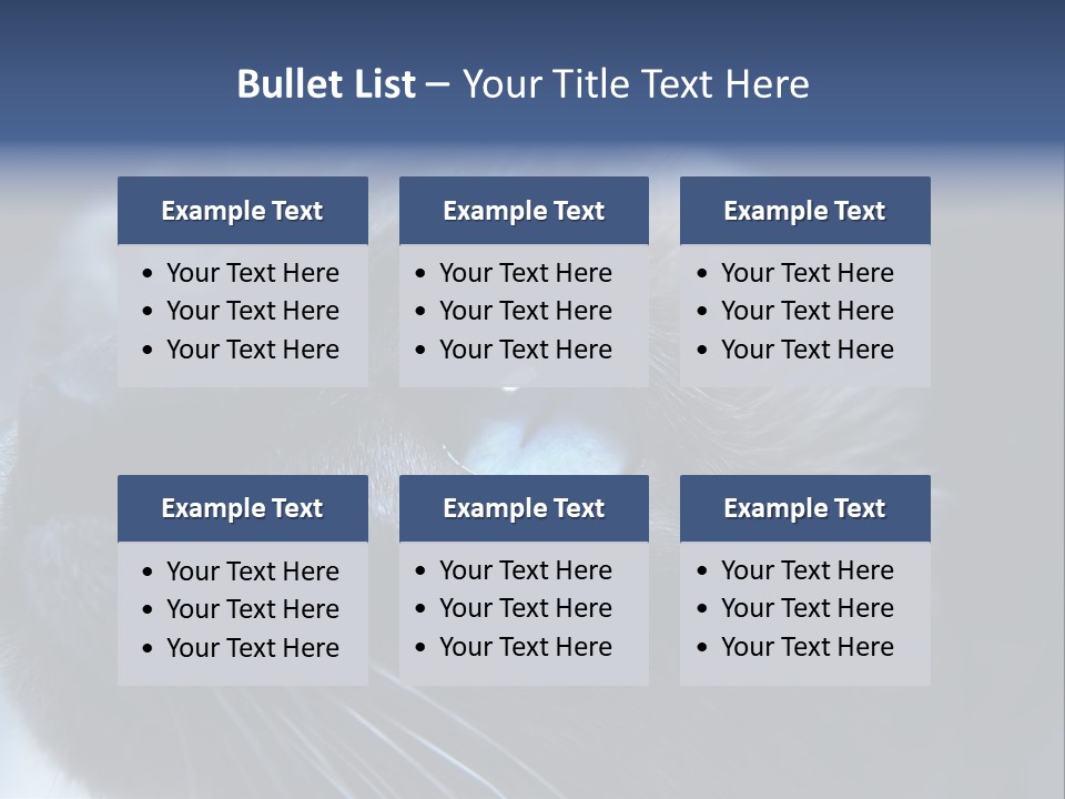 Staring Beautiful Pet PowerPoint Template