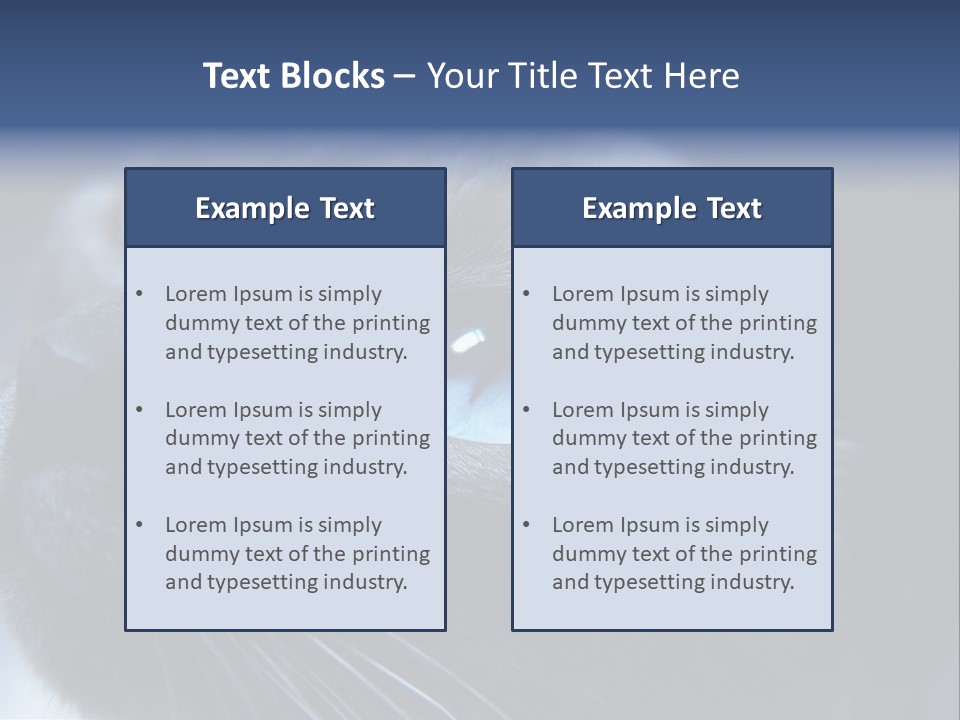 Staring Beautiful Pet PowerPoint Template