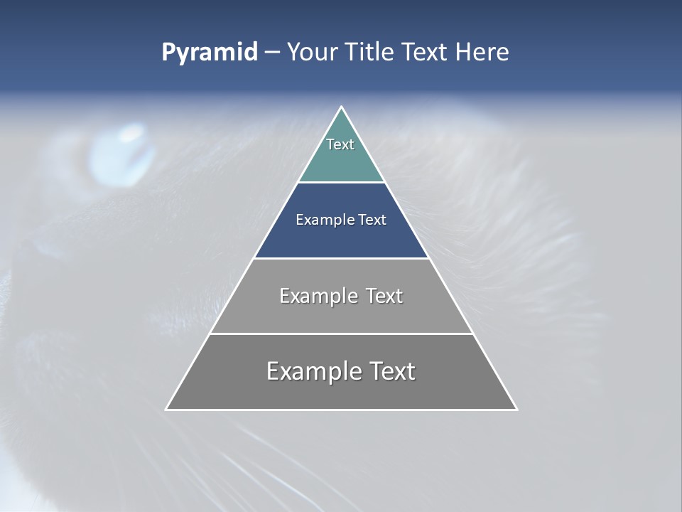 Staring Beautiful Pet PowerPoint Template