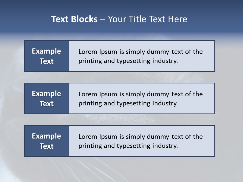 Staring Beautiful Pet PowerPoint Template
