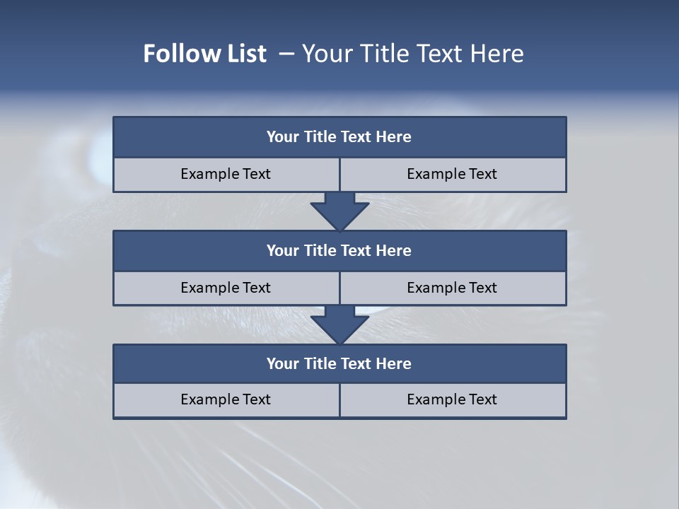 Staring Beautiful Pet PowerPoint Template