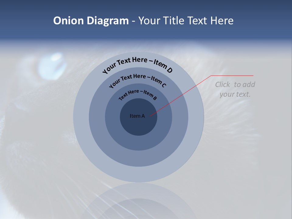 Staring Beautiful Pet PowerPoint Template