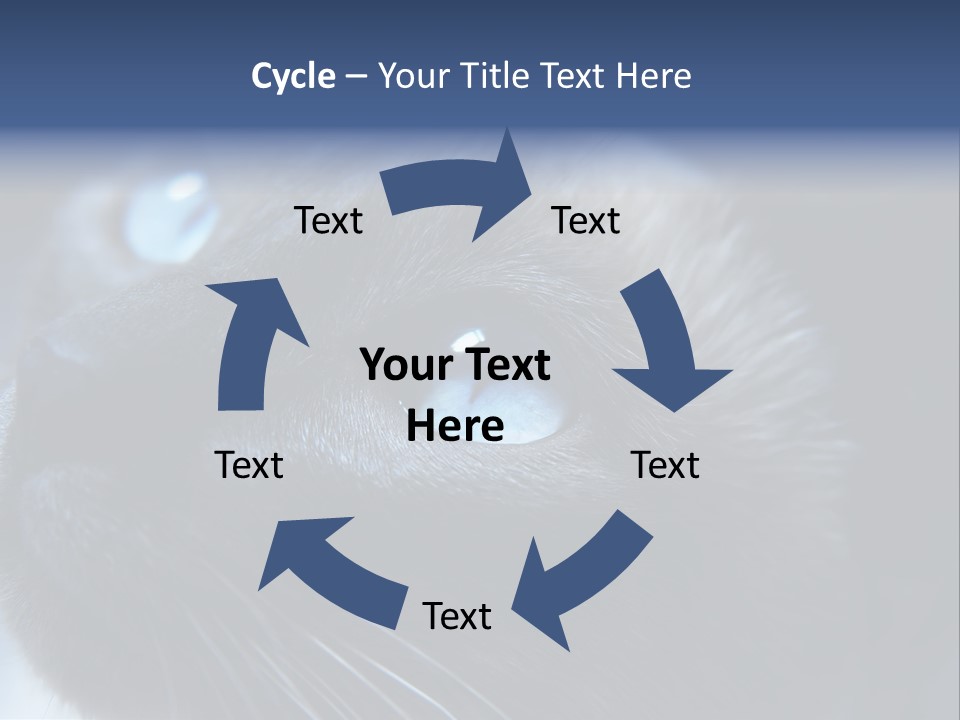 Staring Beautiful Pet PowerPoint Template