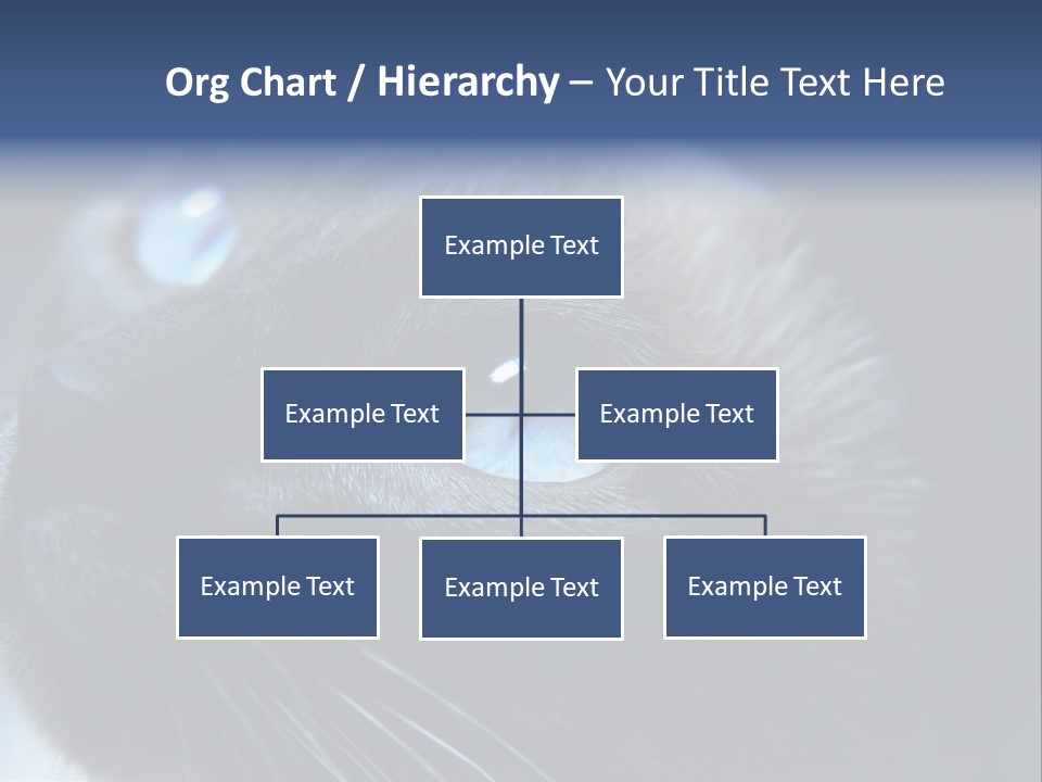 Staring Beautiful Pet PowerPoint Template