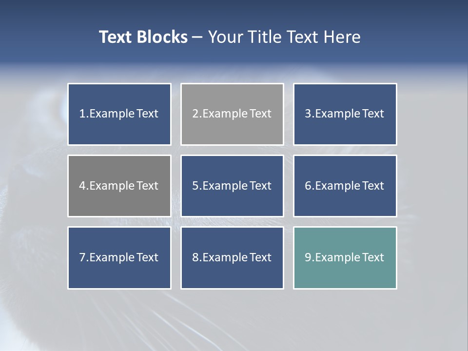 Staring Beautiful Pet PowerPoint Template