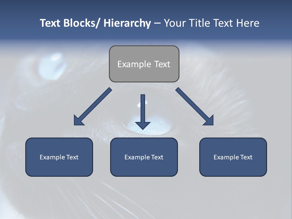 Staring Beautiful Pet PowerPoint Template