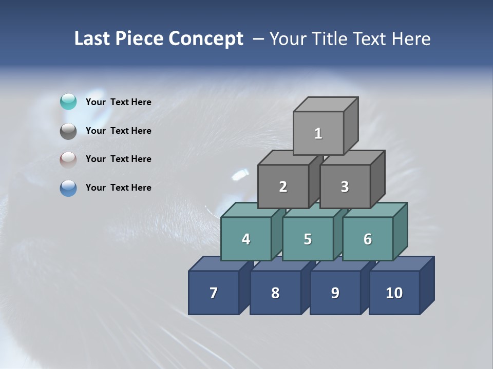 Staring Beautiful Pet PowerPoint Template