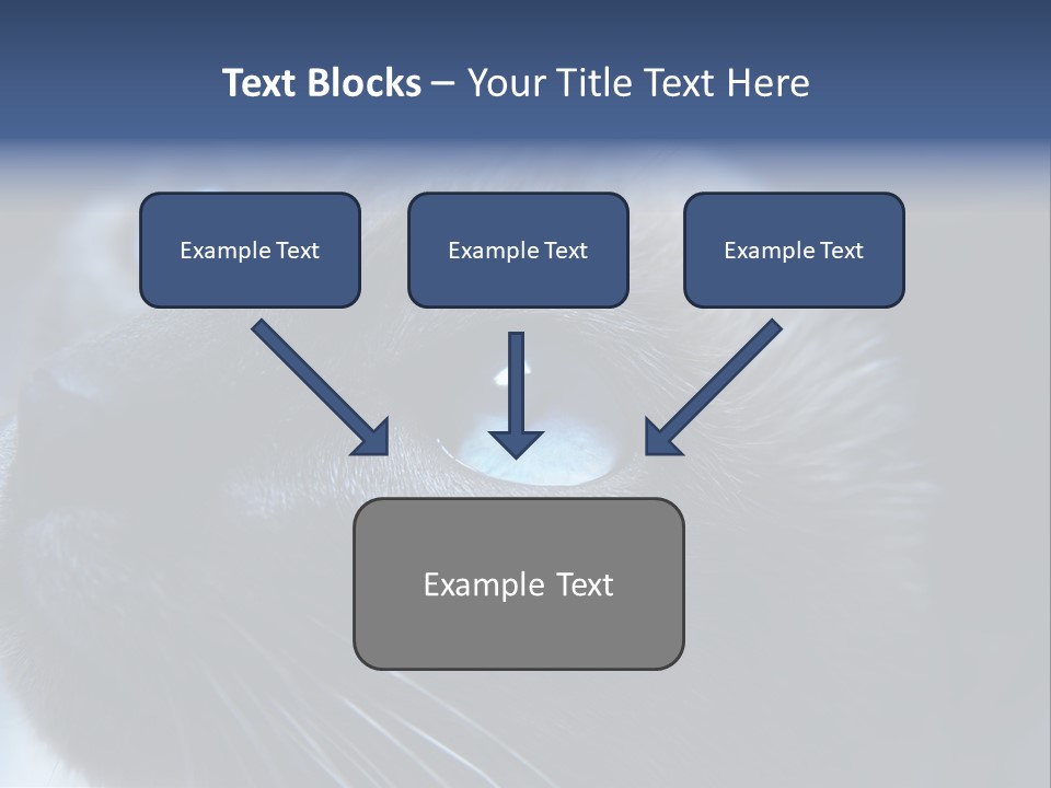 Staring Beautiful Pet PowerPoint Template
