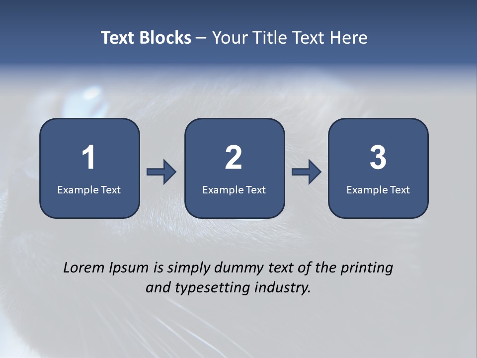 Staring Beautiful Pet PowerPoint Template