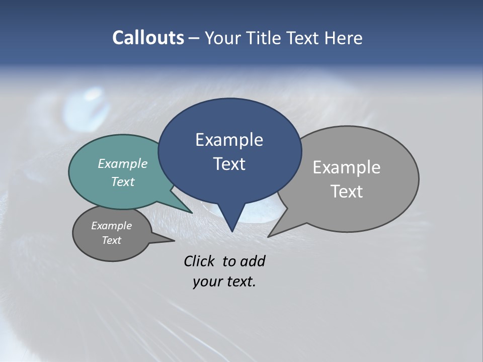 Staring Beautiful Pet PowerPoint Template