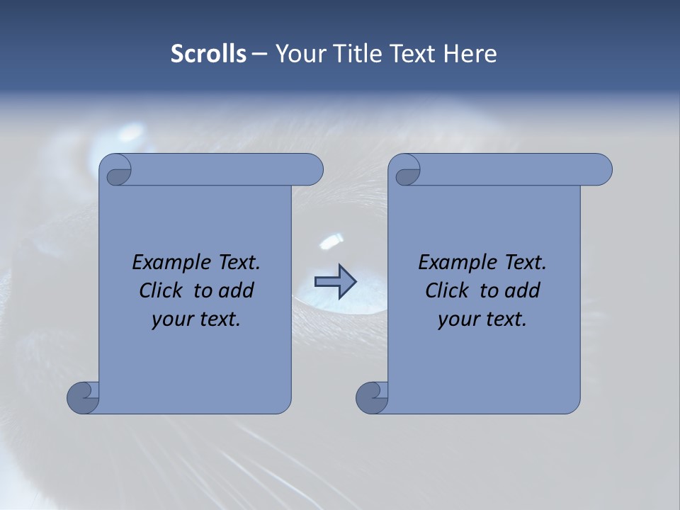 Staring Beautiful Pet PowerPoint Template