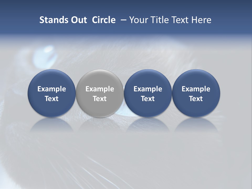 Staring Beautiful Pet PowerPoint Template