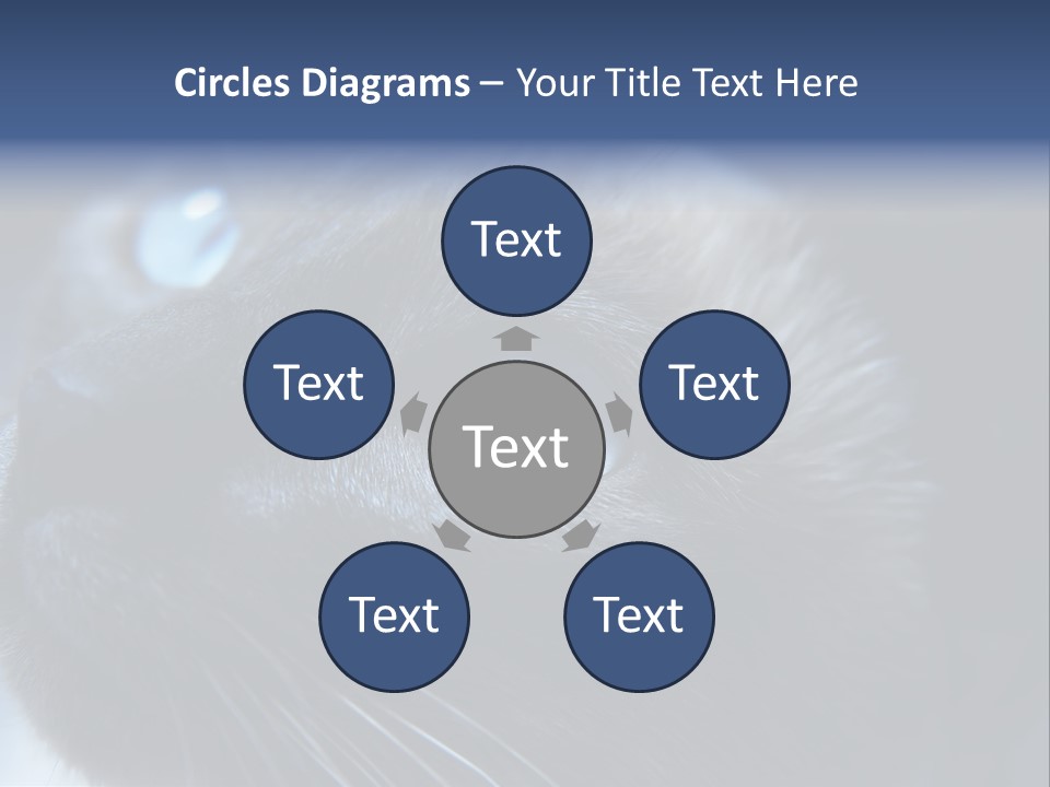 Staring Beautiful Pet PowerPoint Template