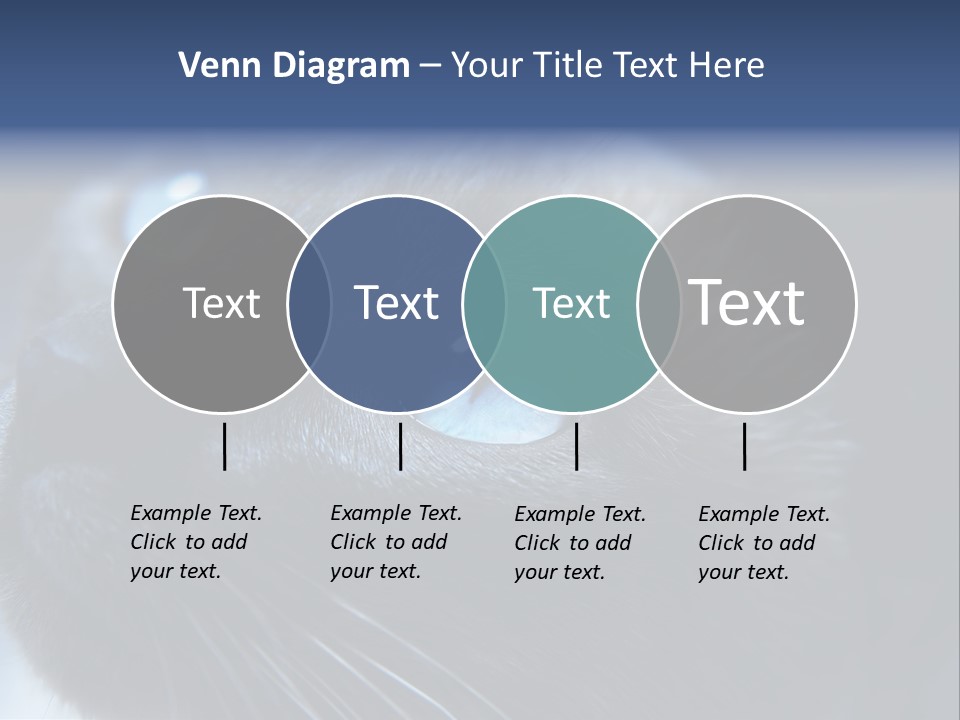 Staring Beautiful Pet PowerPoint Template