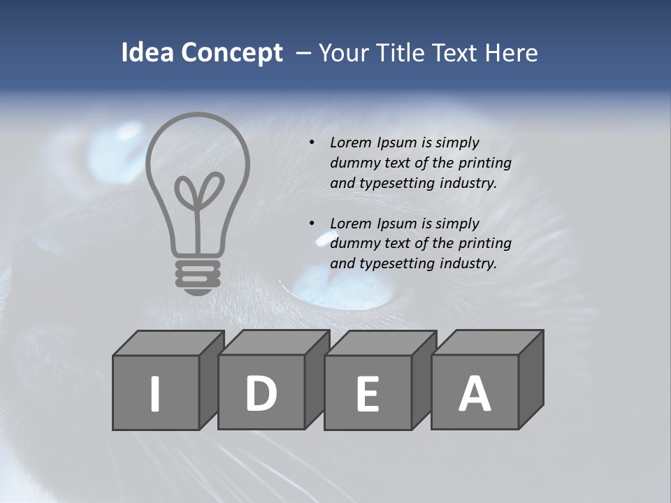 Staring Beautiful Pet PowerPoint Template