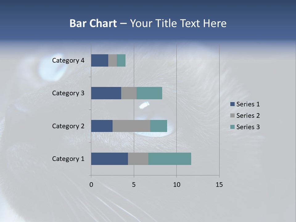 Staring Beautiful Pet PowerPoint Template