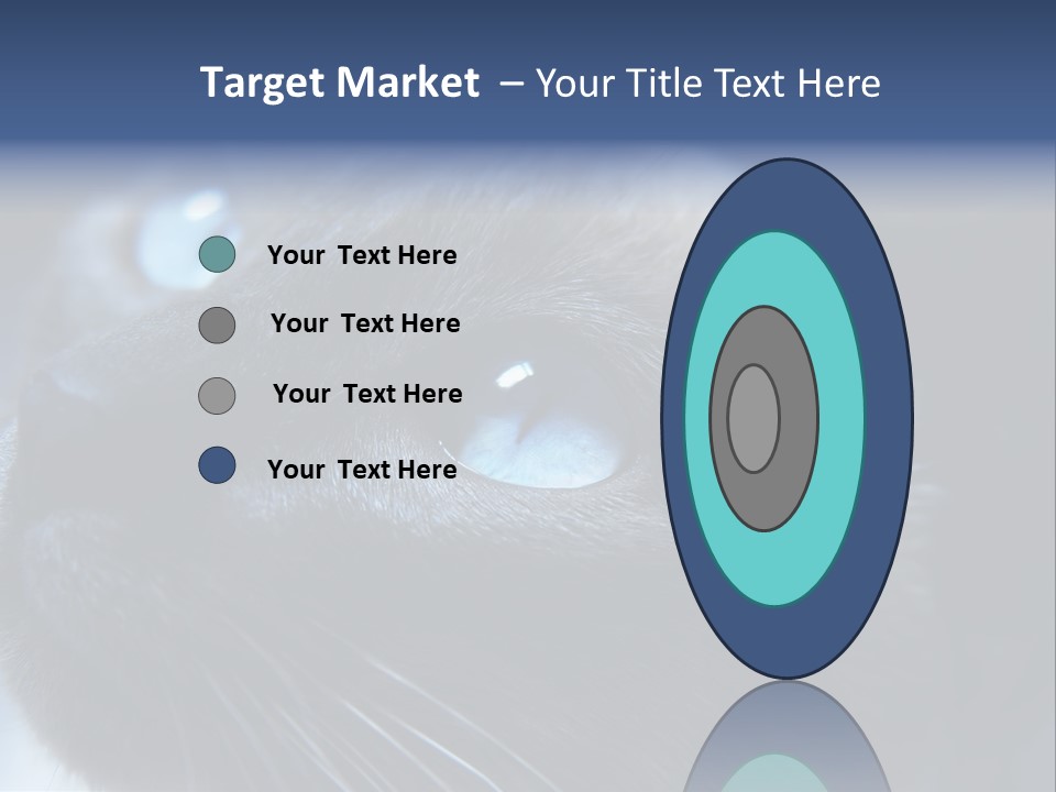 Staring Beautiful Pet PowerPoint Template