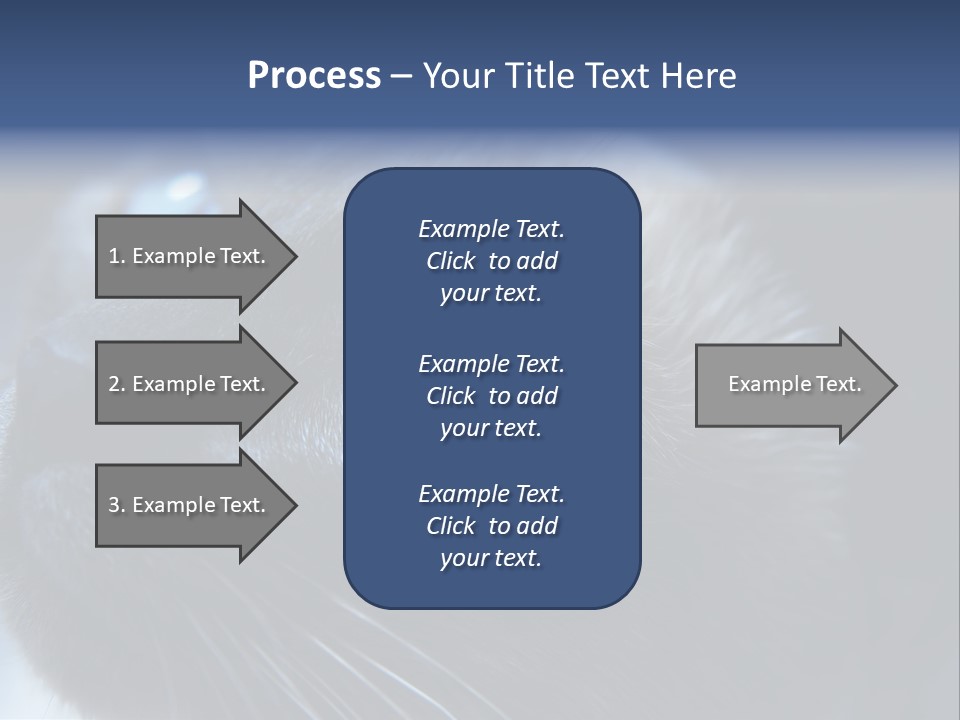 Staring Beautiful Pet PowerPoint Template