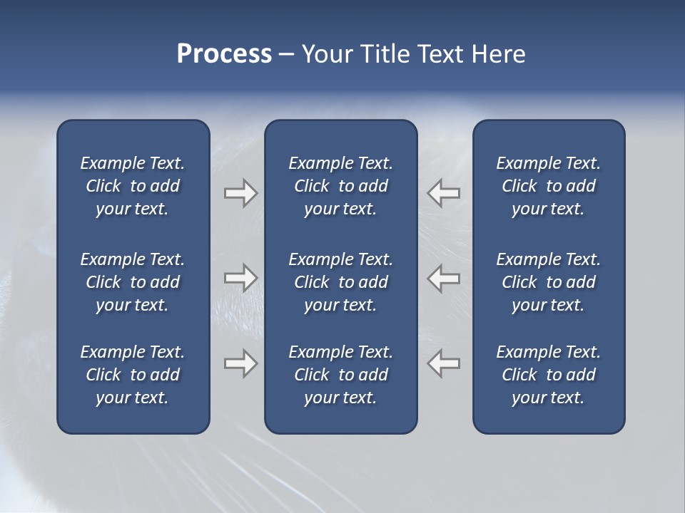 Staring Beautiful Pet PowerPoint Template