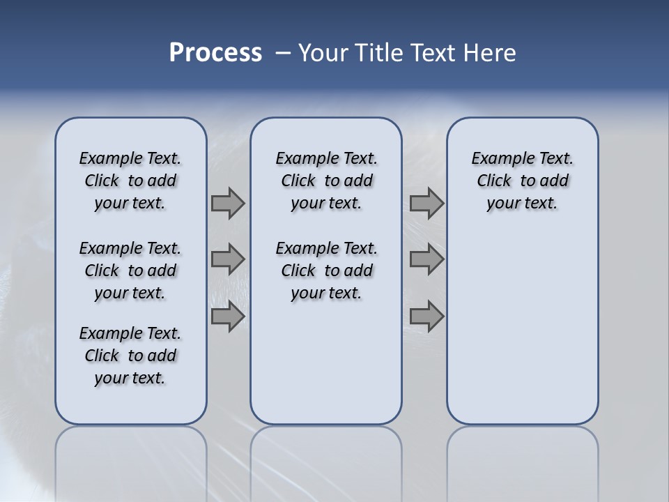 Staring Beautiful Pet PowerPoint Template