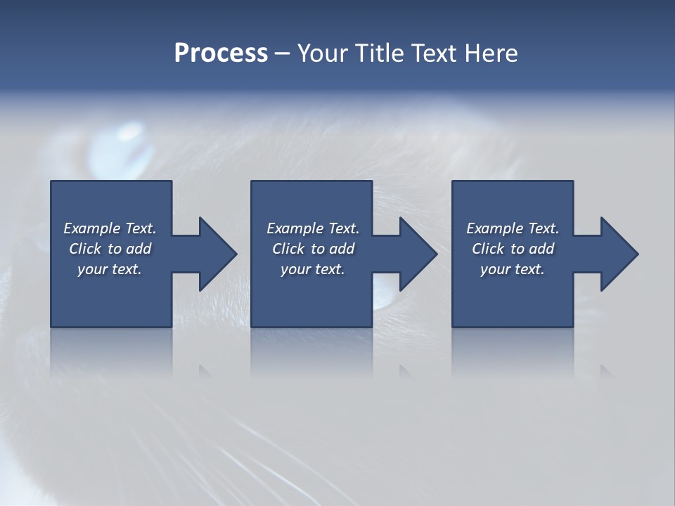 Staring Beautiful Pet PowerPoint Template
