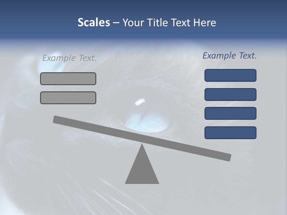 Staring Beautiful Pet PowerPoint Template