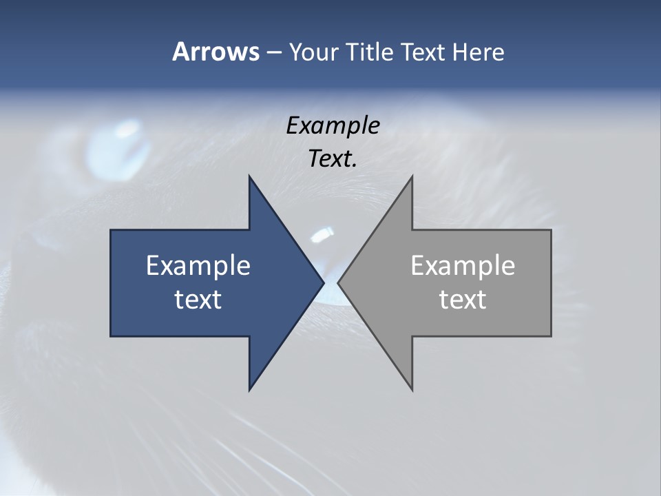 Staring Beautiful Pet PowerPoint Template