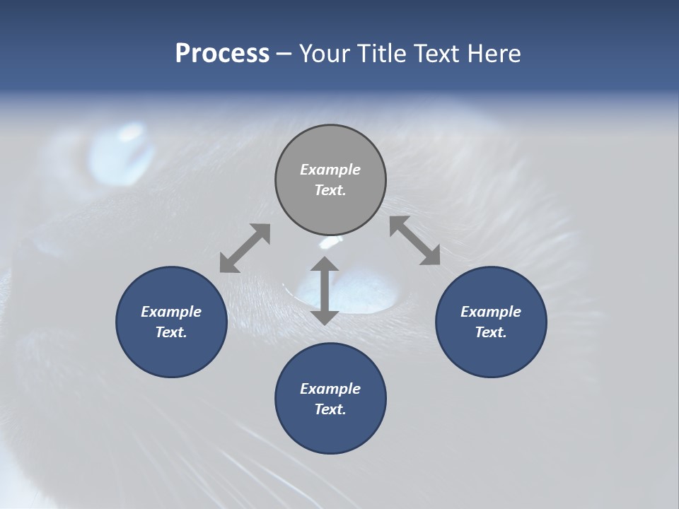 Staring Beautiful Pet PowerPoint Template