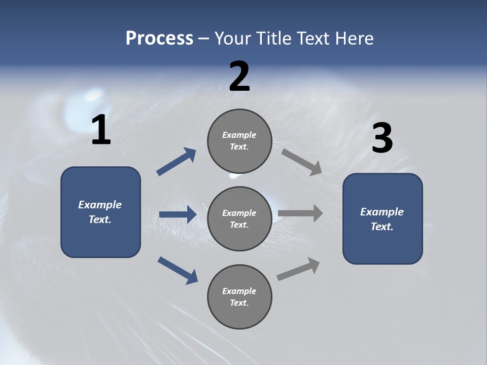 Staring Beautiful Pet PowerPoint Template