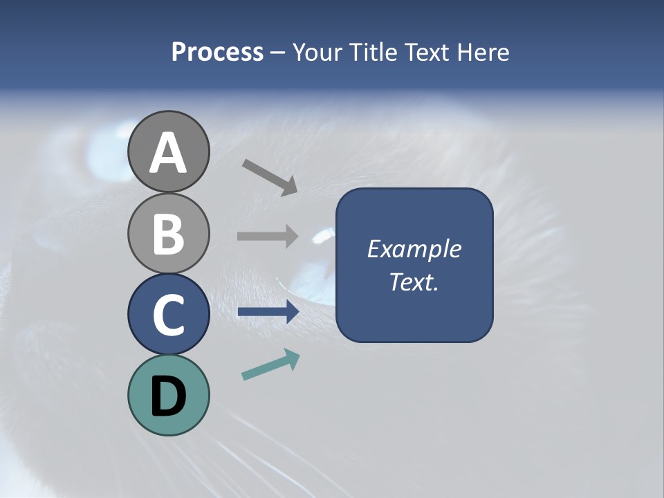 Staring Beautiful Pet PowerPoint Template