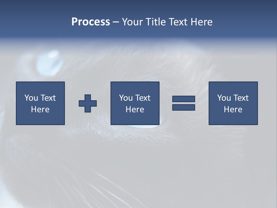 Staring Beautiful Pet PowerPoint Template