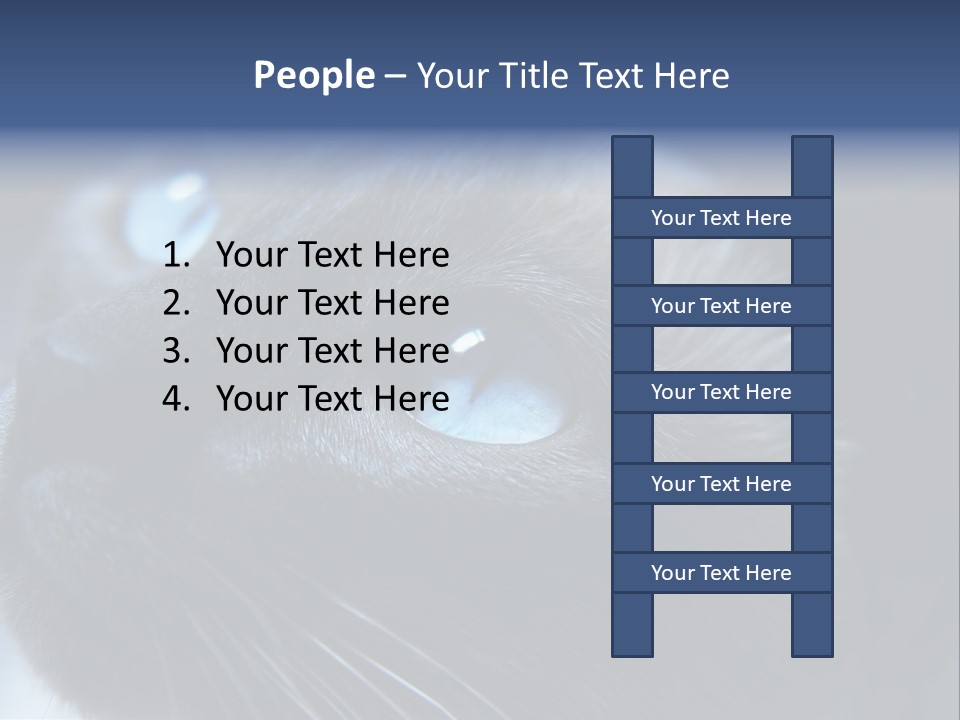 Staring Beautiful Pet PowerPoint Template