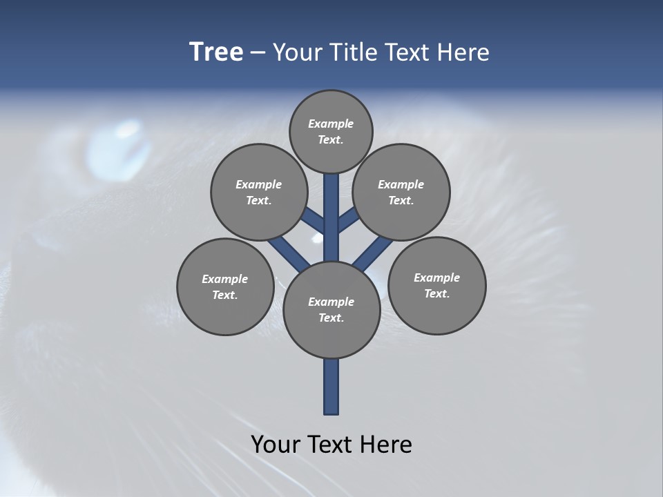 Staring Beautiful Pet PowerPoint Template