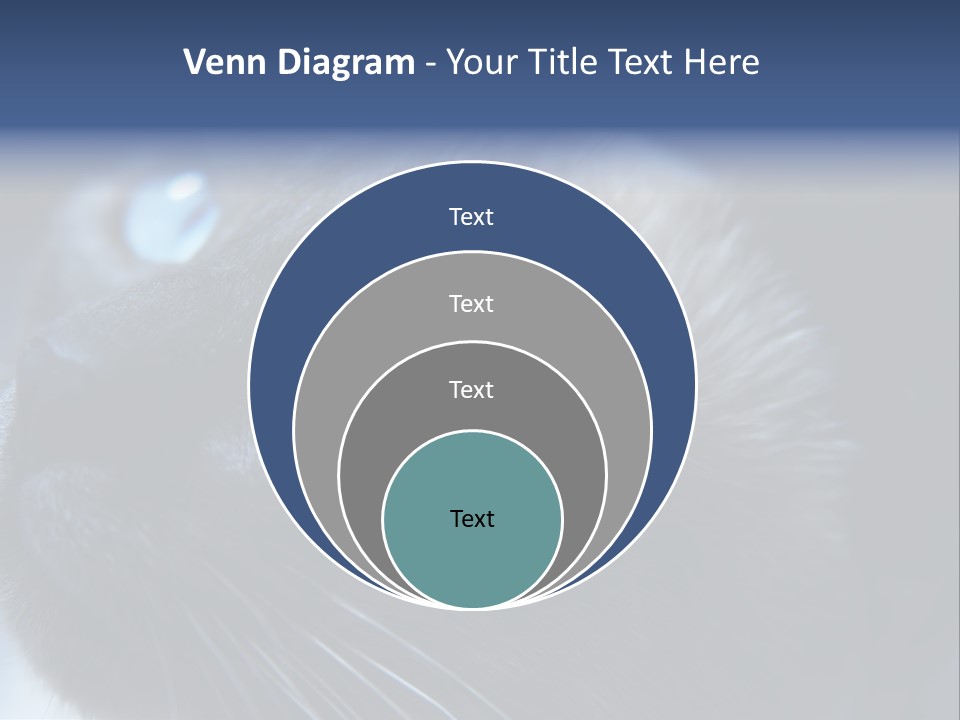 Staring Beautiful Pet PowerPoint Template