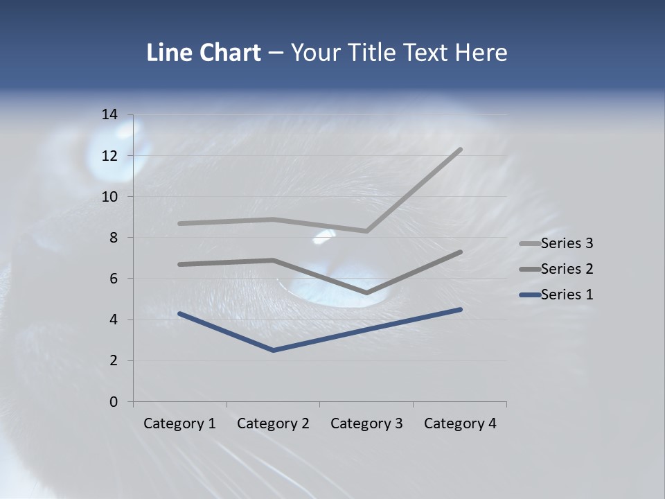 Staring Beautiful Pet PowerPoint Template