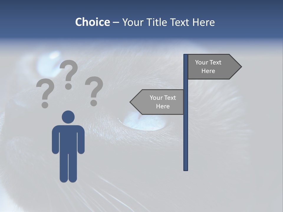 Staring Beautiful Pet PowerPoint Template