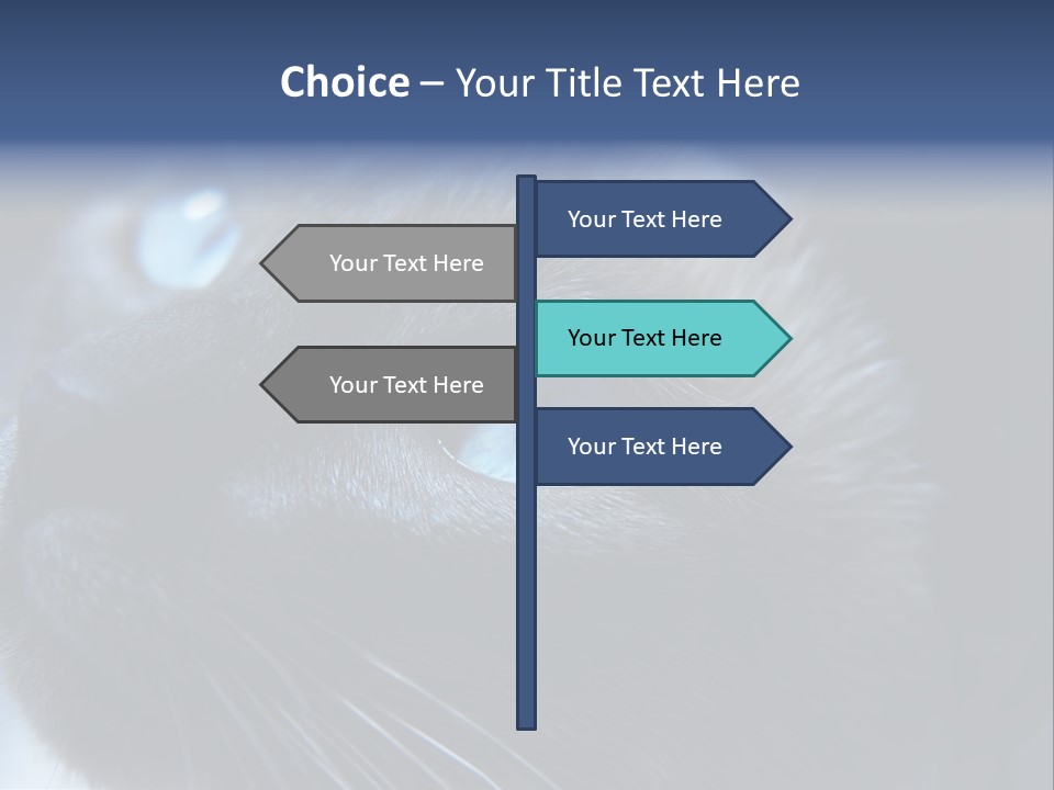 Staring Beautiful Pet PowerPoint Template