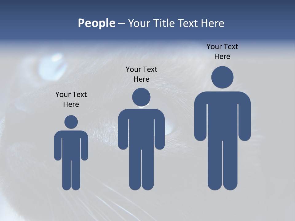 Staring Beautiful Pet PowerPoint Template