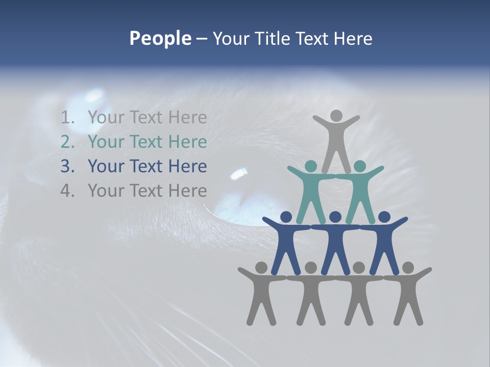 Staring Beautiful Pet PowerPoint Template