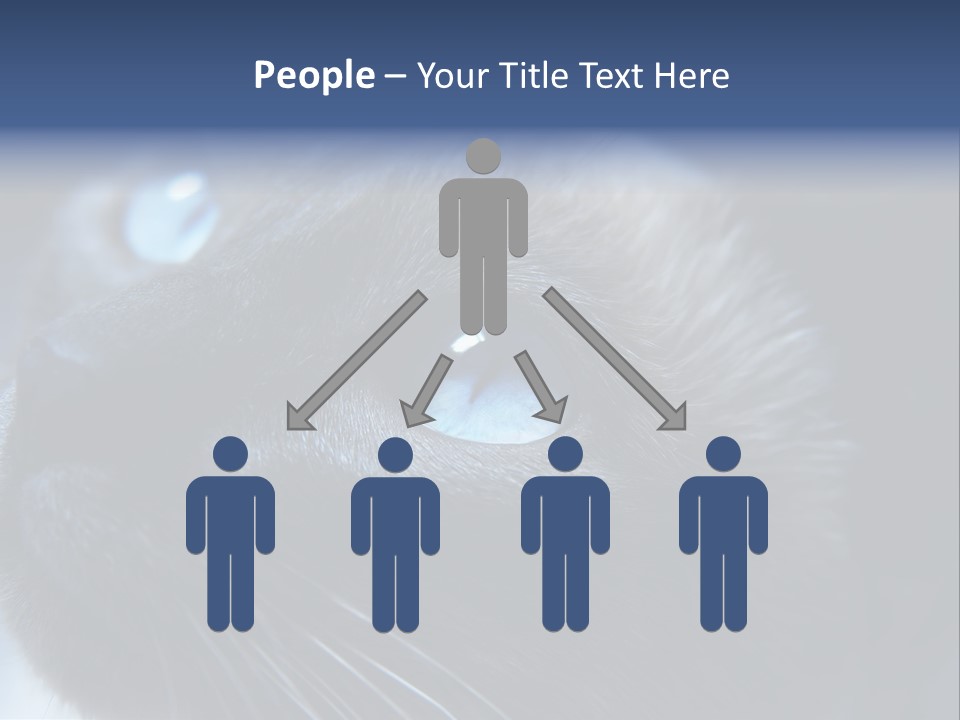 Staring Beautiful Pet PowerPoint Template