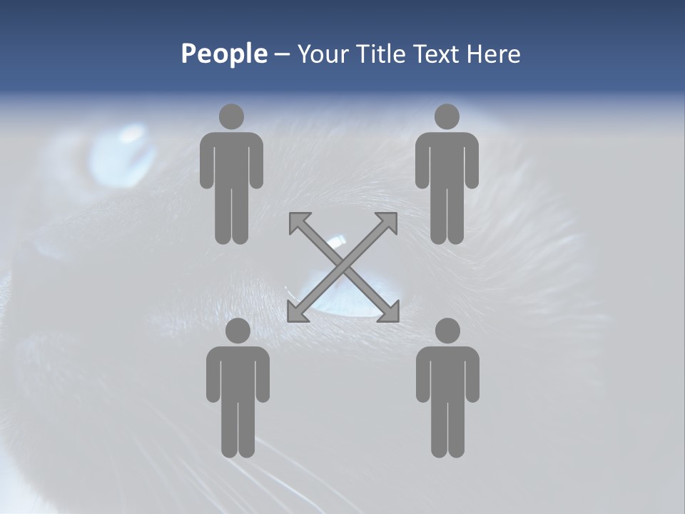 Staring Beautiful Pet PowerPoint Template