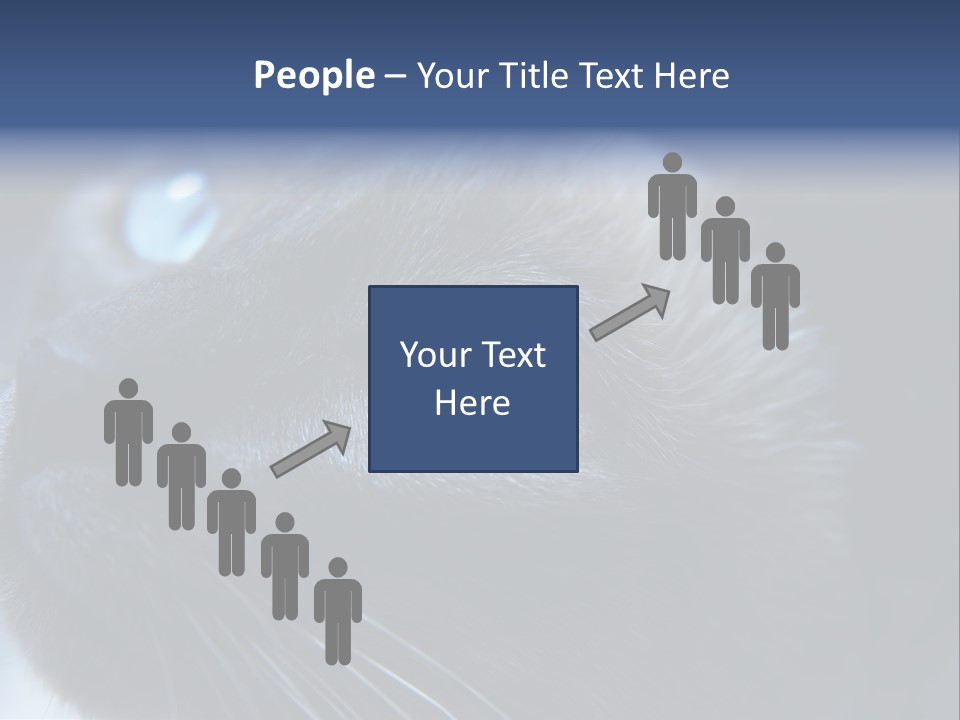 Staring Beautiful Pet PowerPoint Template