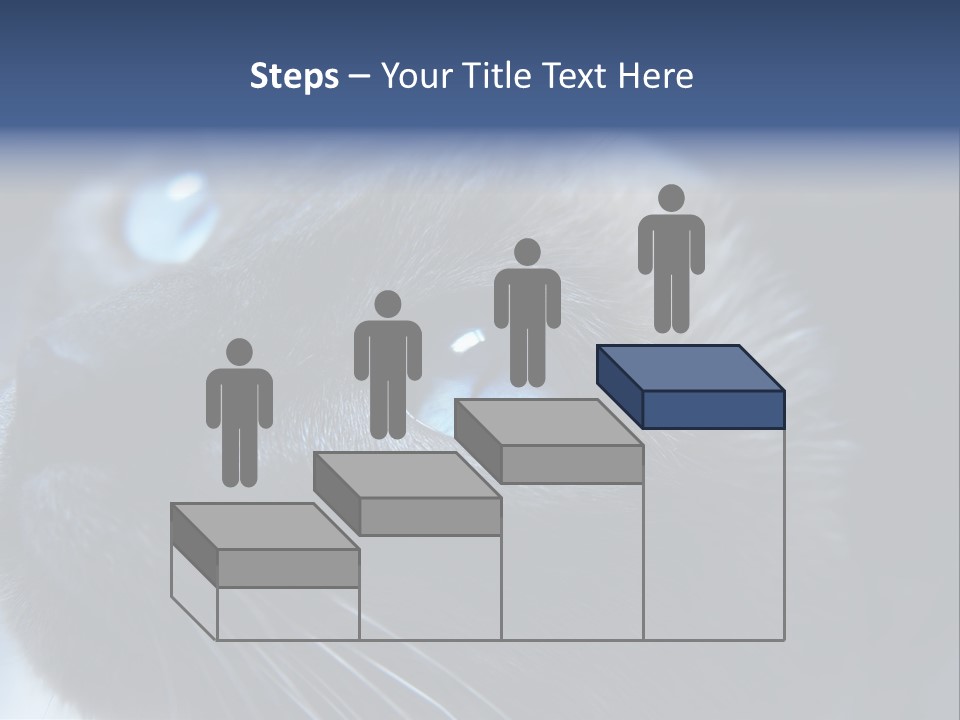 Staring Beautiful Pet PowerPoint Template