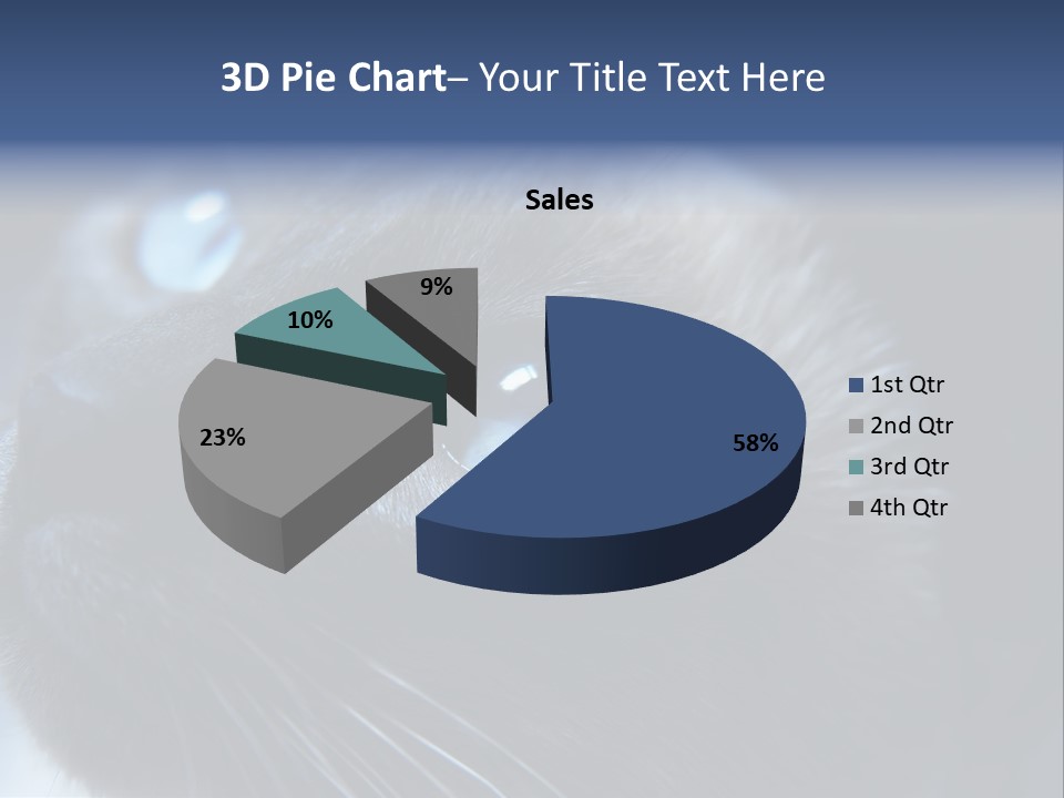 Staring Beautiful Pet PowerPoint Template