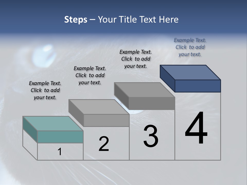 Staring Beautiful Pet PowerPoint Template